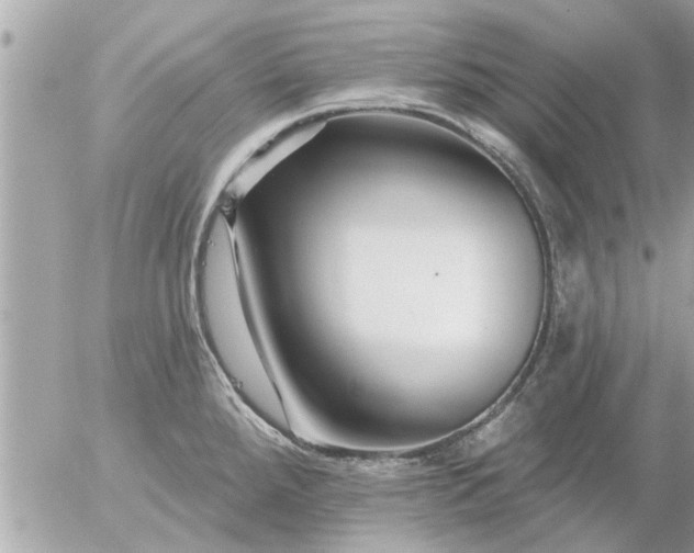 X0000055521288200508262156