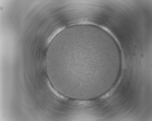 X0000055521289200508262156