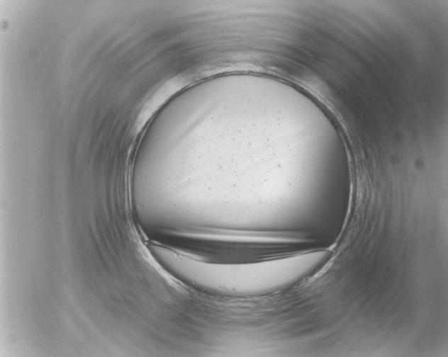 X0000055521290200508262156