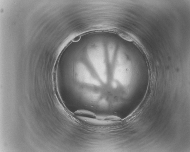 X0000055521291200508262156