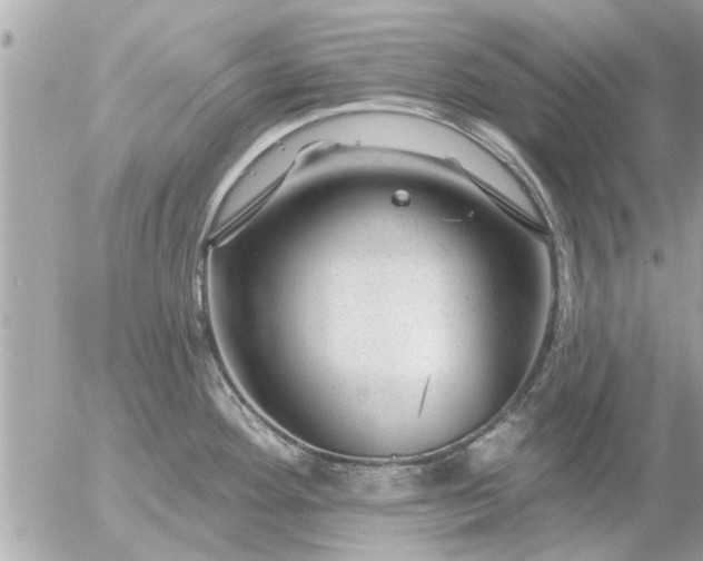 X0000055521292200508262156