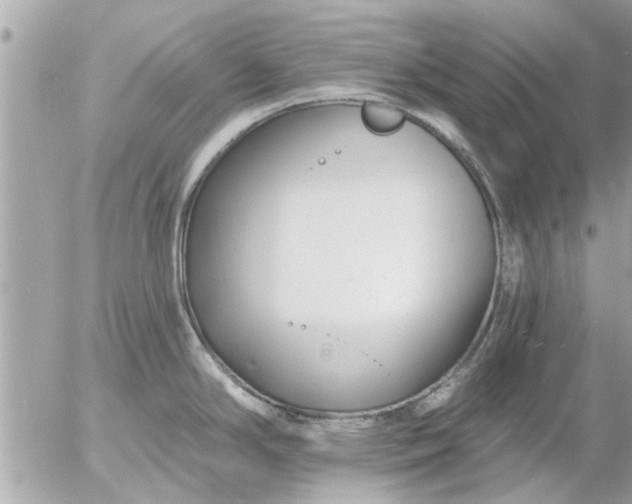 X0000055521294200508262156