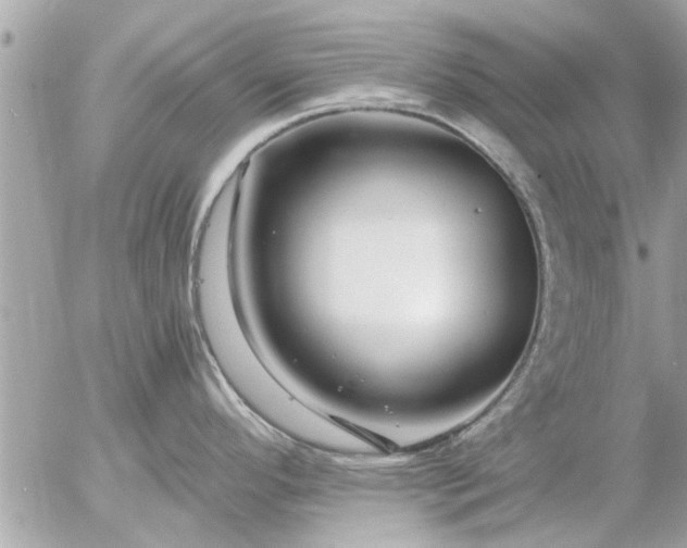 X0000055521296200508262156