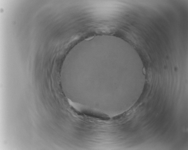 X0000055521297200508262155