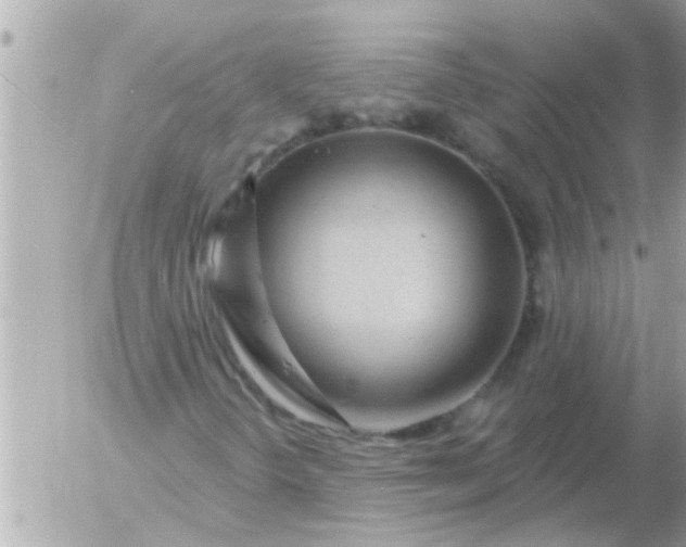 X0000055521298200508262155