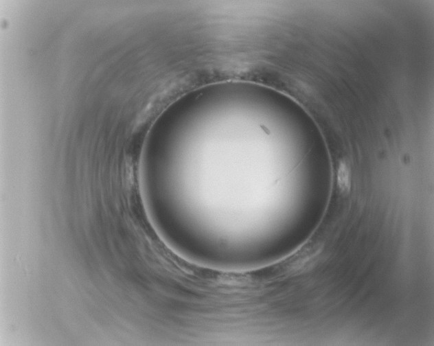 X0000055521299200508262155