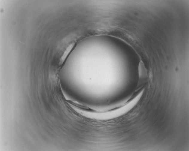 X0000055521300200508262155