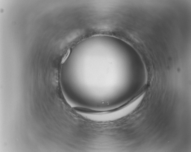 X0000055521301200508262155