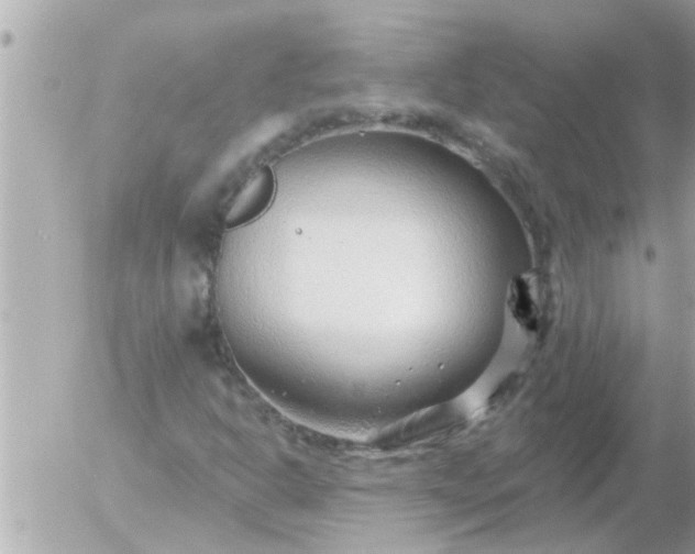 X0000055521302200508262155