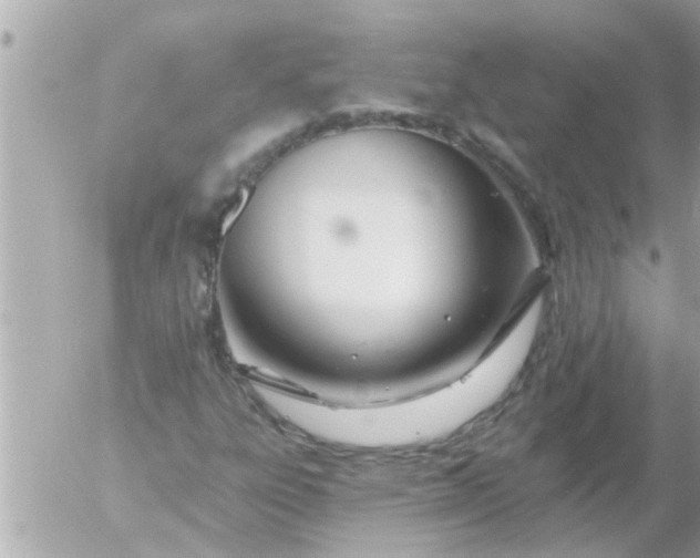 X0000055521303200508262155