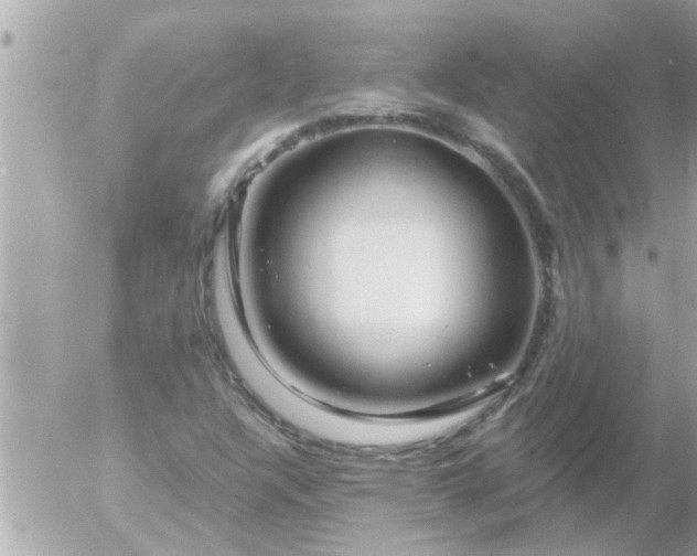 X0000055521304200508262155