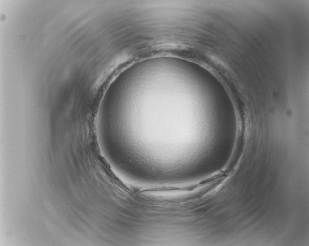 X0000055521305200508262155