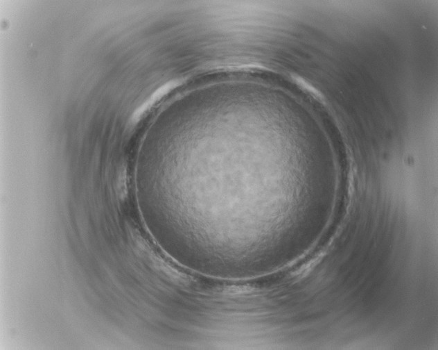 X0000055521306200508262155