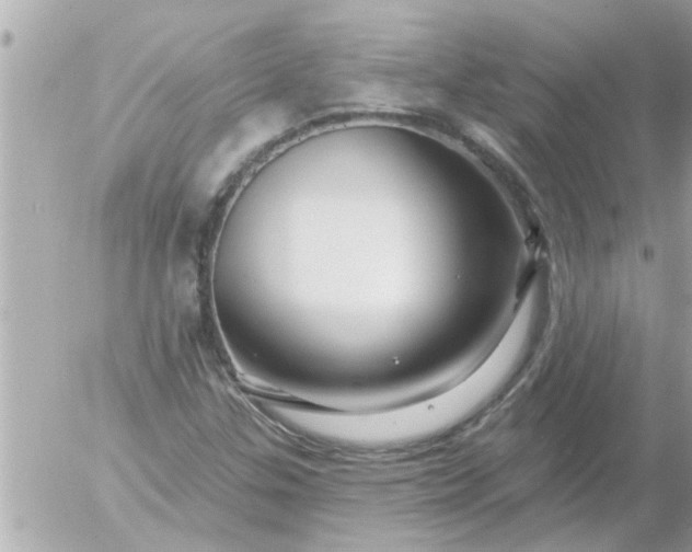 X0000055521307200508262155