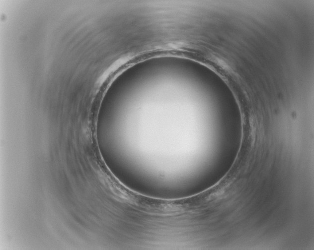 X0000055521308200508262155