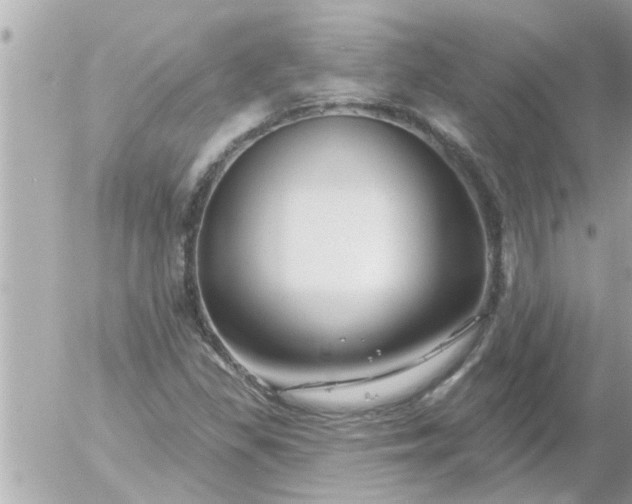 X0000055521309200508262155