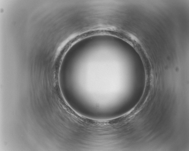 X0000055521310200508262155