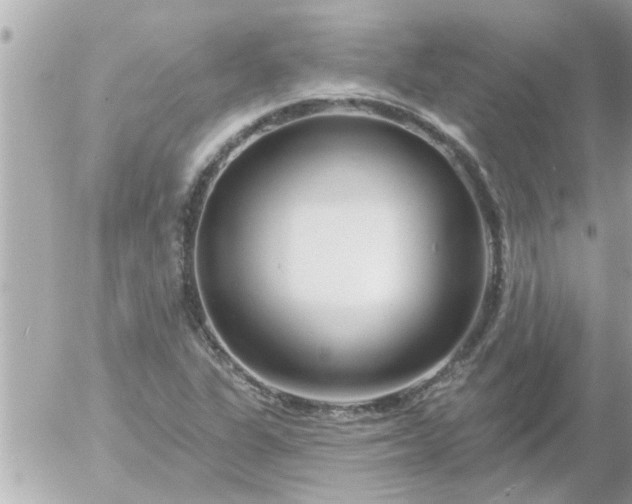 X0000055521311200508262155