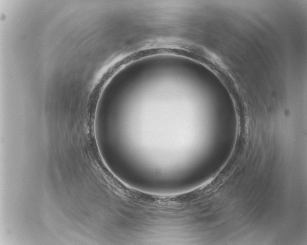 X0000055521312200508262155