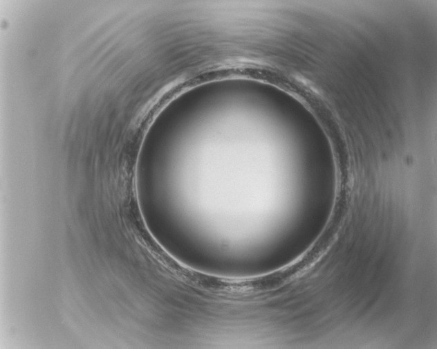 X0000055521313200508262155