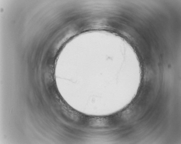 X0000055521314200508262155