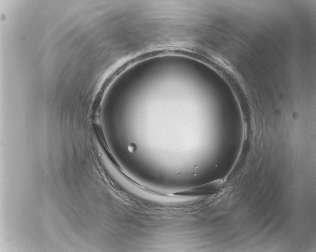 X0000055521316200508262155