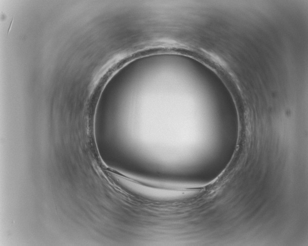 X0000055521318200508262155