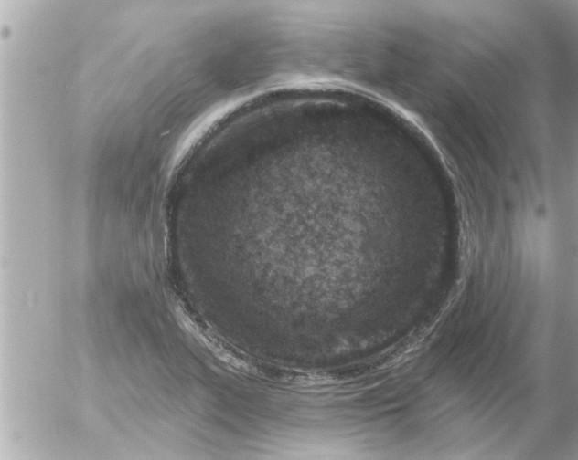 X0000055521319200508262155