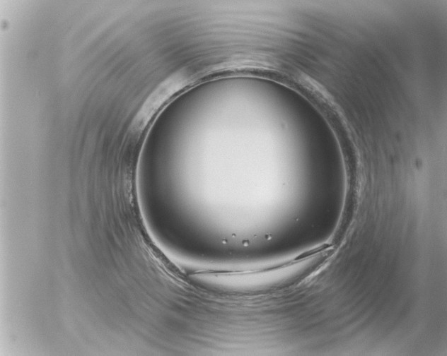 X0000055521321200508262155