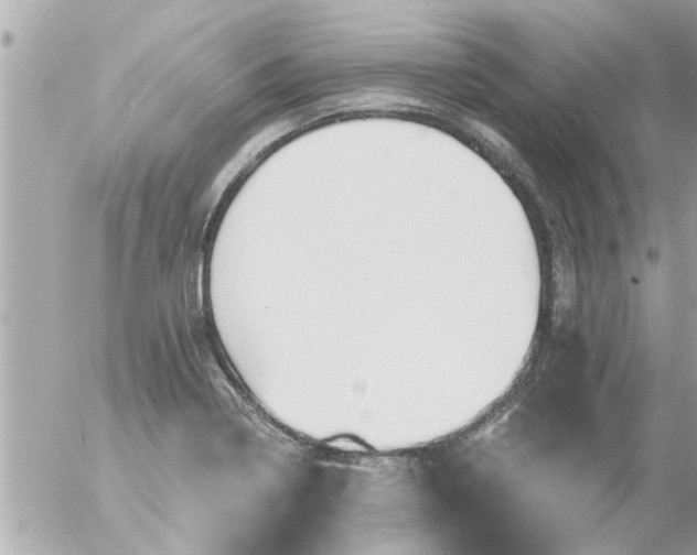 X0000055521322200508262155