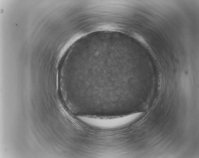 X0000055521323200508262156