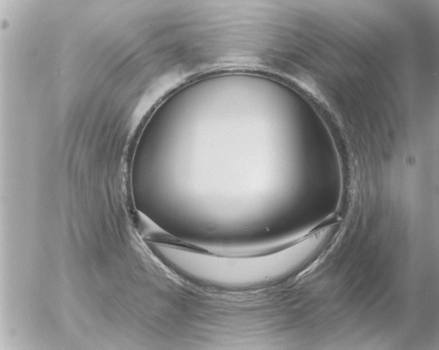 X0000055521325200508262156