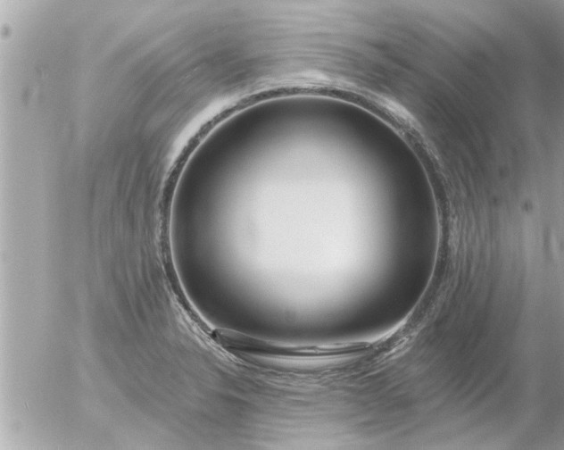 X0000055521326200508262156