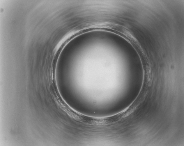 X0000055521328200508262156