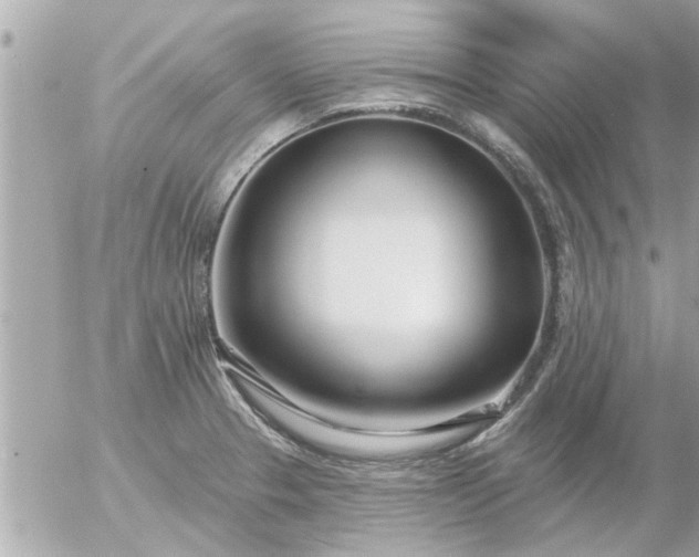 X0000055521329200508262156