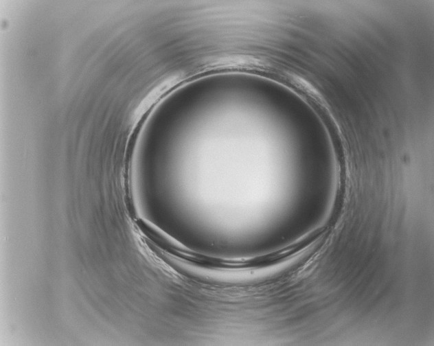 X0000055521330200508262156