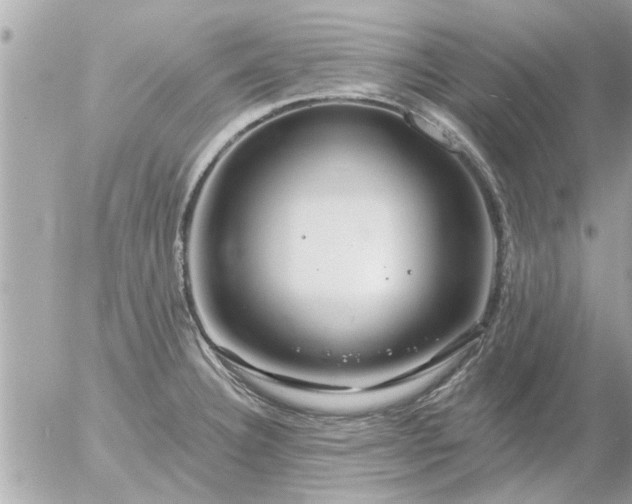 X0000055521332200508262156