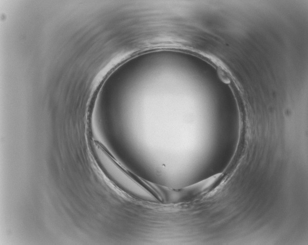 X0000055521333200508262156