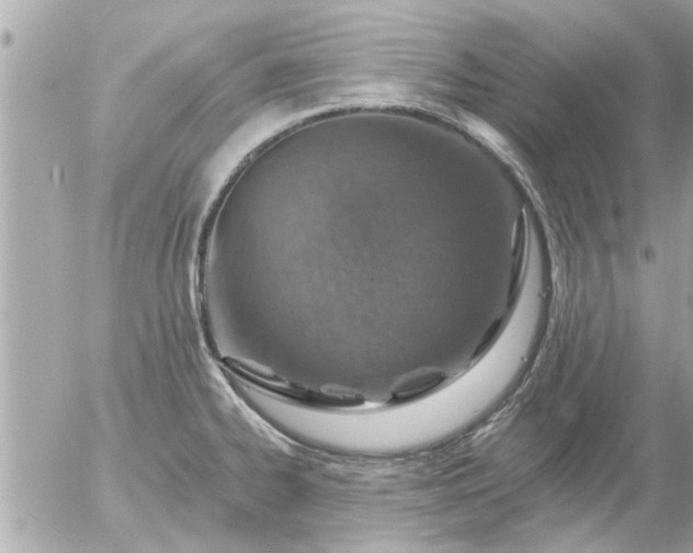 X0000055521334200508262156