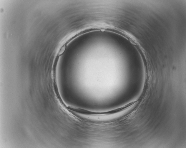 X0000055521335200508262156