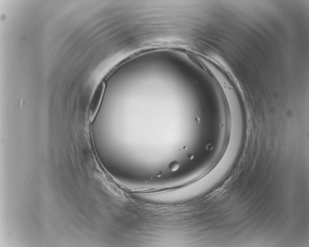 X0000055521336200508262156