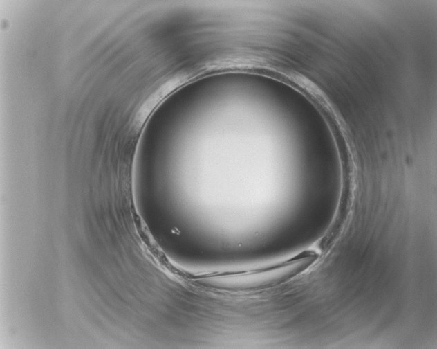 X0000055521337200508262156