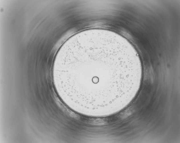 X0000055521338200508262156