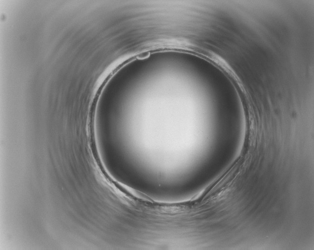 X0000055521339200508262156