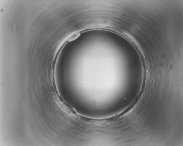 X0000055521340200508262156