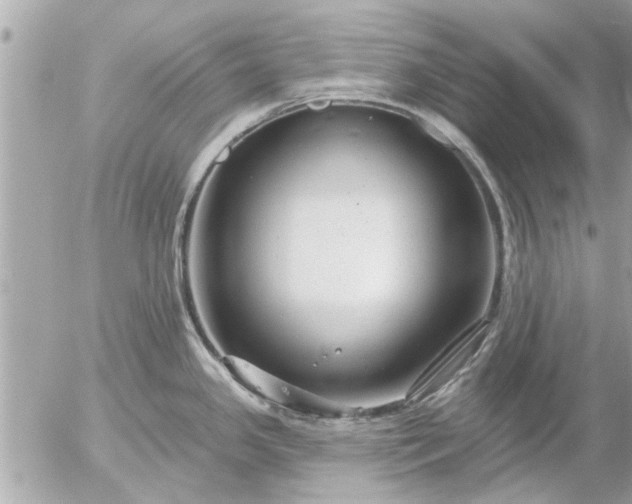 X0000055521341200508262156