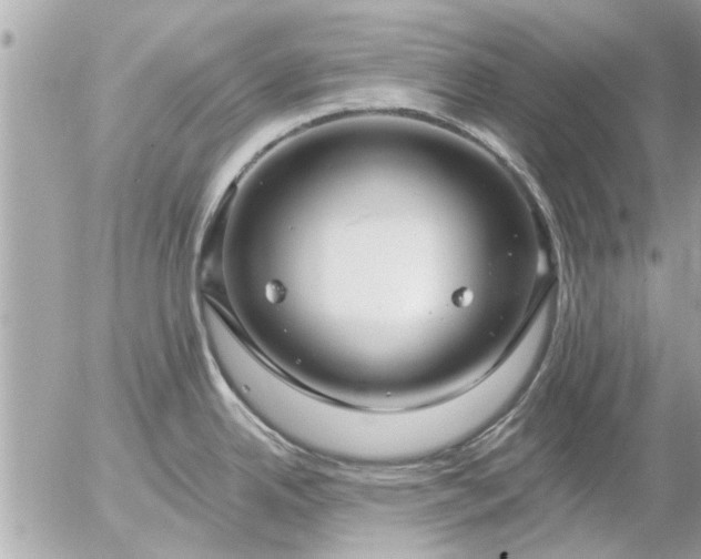 X0000055521342200508262156