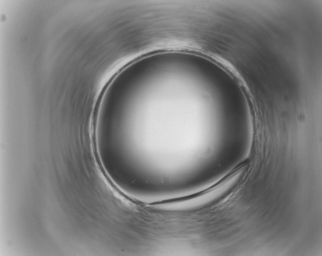 X0000055521343200508262156