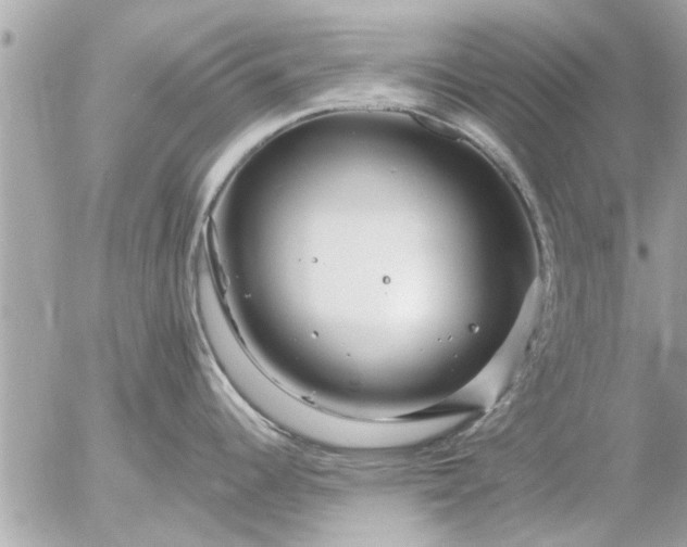 X0000055521344200508262156