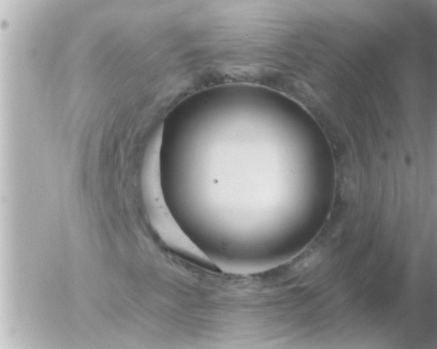 X0000055521345200508262155